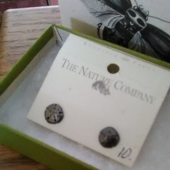 Sand Dollar Studs - Picture 1 of 8